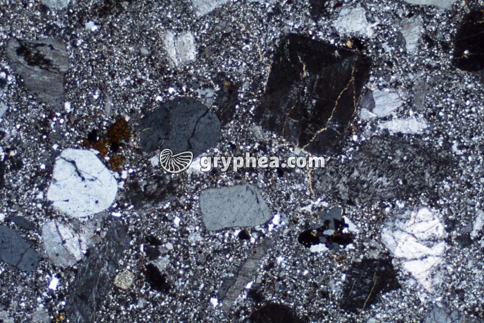 Rhyolite LPA x6,3 - gryphea.com